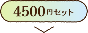 4500円セット