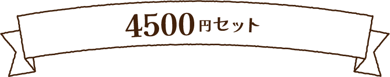 4500円セット